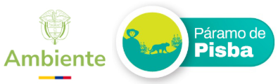 Logo pisba 2