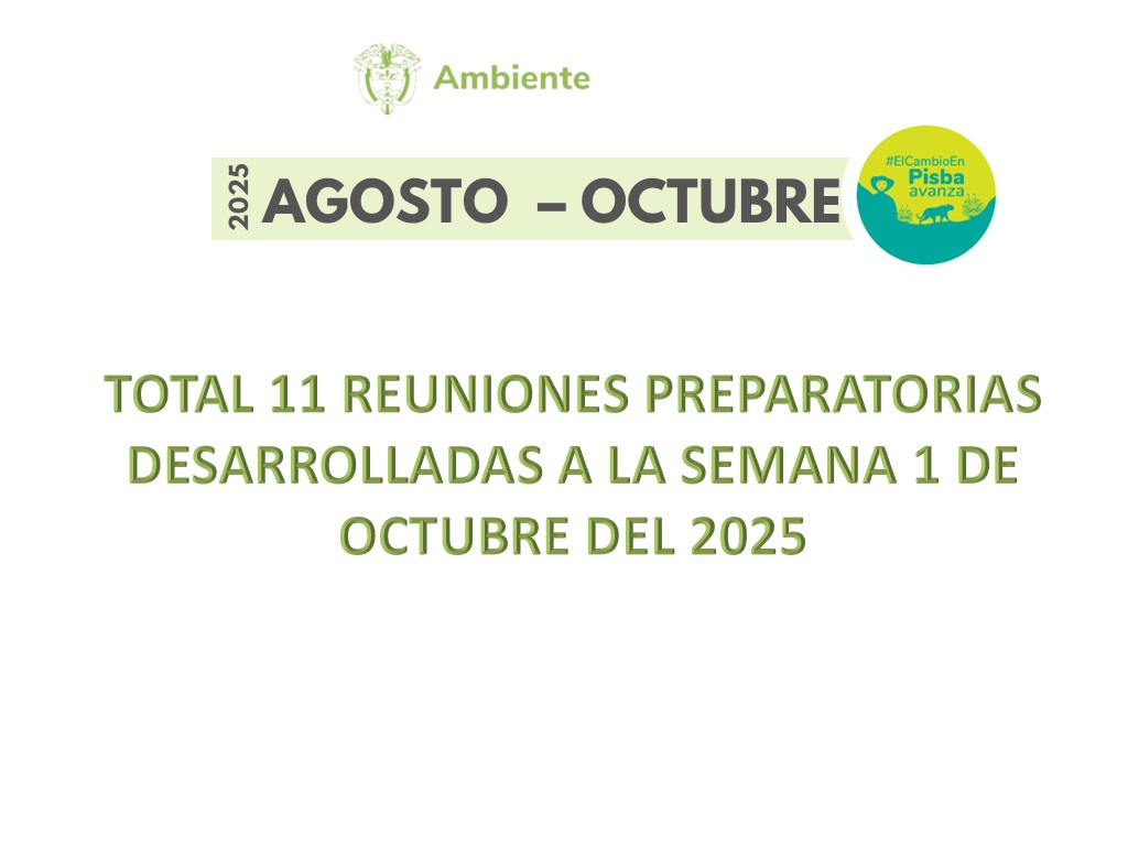 Diapositiva4